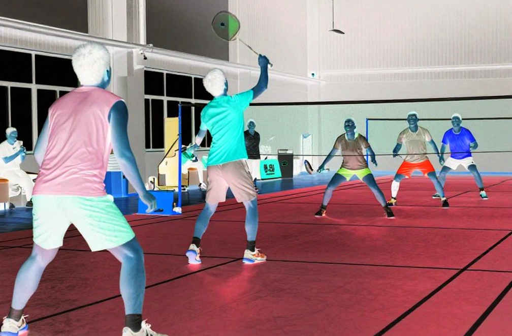 Badminton's Annual Season: The Data Gap at the Top Level Badminton's Annual Season: The Data Gap at the Top Level