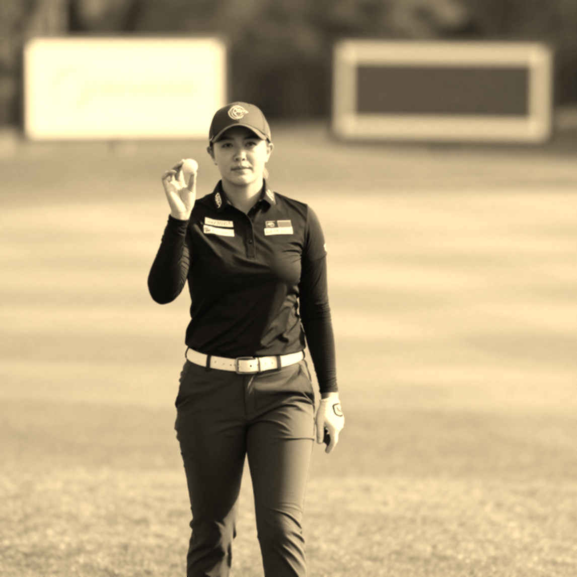 Golf và cuộc đua dữ liệu: ranh giới giữa kiểm chứng và tiếng ồn