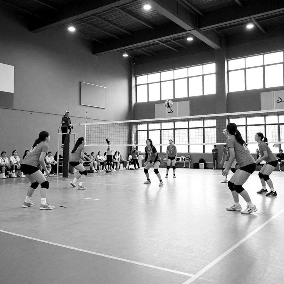 Bóng chuyền Việt Nam và bản báo cáo tuyển trạch rỗng ruột Bóng chuyền Việt Nam và bản báo cáo tuyển trạch rỗng ruột